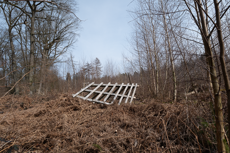 Bild »Gatter« aus Bilderserie »Streifzüge«
